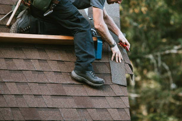 Best New Roof Installation  in Pardeeville, WI